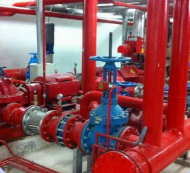 Wet and Dry Riser System